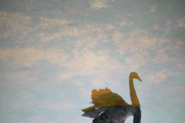 Photograph Ivan Joshua Loh Grace on One Eyeland